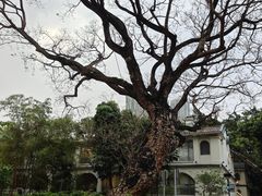 -九龙公园
