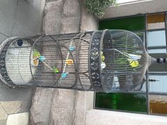 iphone_upload_pic-老味道民宿(栈桥店)