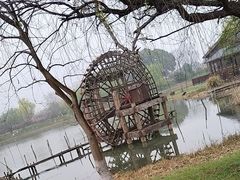 -苏州太湖国家湿地公园