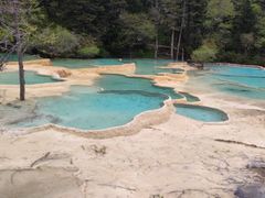 -黄龙山原始森林景区