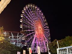 -横店影视城梦幻谷园区
