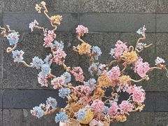 -BEAST野兽派(上海浦东嘉里城店)