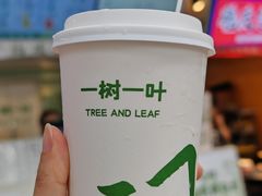-一树一叶·福建茶档(石鼓路店)
