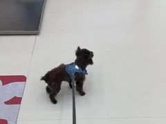 -御宝贝24h宠物医院·转诊中心·CT核磁血透中心(厦门总院)