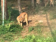-泉州海丝野生动物世界