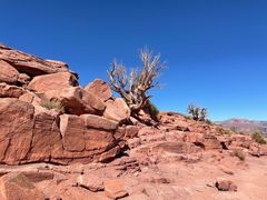 -科罗拉多大峡谷