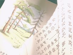 -小熊维尼历险之旅