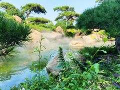 -罗红摄影艺术馆