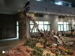 -自贡恐龙博物馆