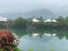 -帐篷客·溪龙茶谷度假酒店