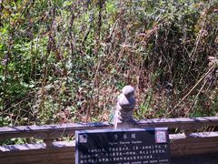 -汤阴县羑里周易博物馆