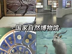 -中国国家博物馆