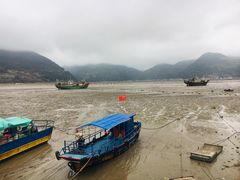 -北岐滩涂