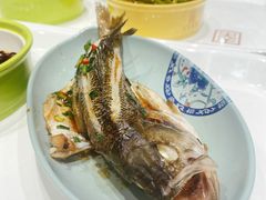 -66梧桐院·天平邻里汇(乌鲁木齐南路店)
