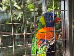 -大连森林动物园