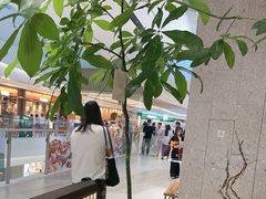 -沼津港精致料理·寿喜烧·烧鸟(龙湖南桥天街日料榜单店)