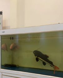 -FUMEIHUI·科技美肤·美体SPA