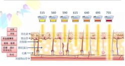 -安徽合肥韩美整形外科医院