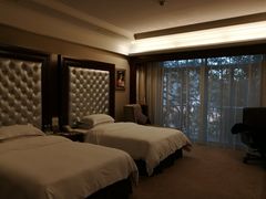 -圣爵菲斯大酒店(长沙世界之窗店)