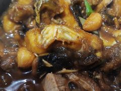 -强记湛江鸡饭店·二十七年老字号(拱北店)
