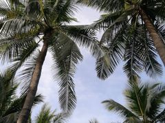 -西秀海滩公园