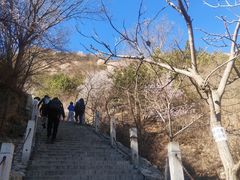 景点-北京凤凰岭