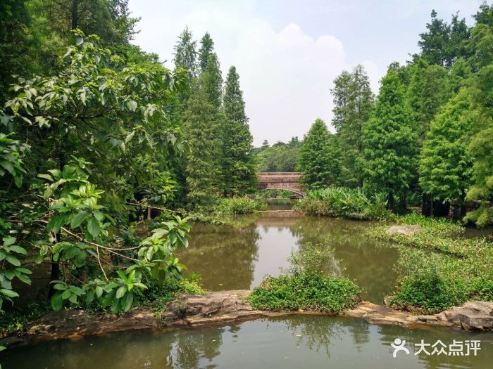 云溪生態公園-圖片-廣州周邊遊-大眾點評網