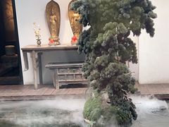 -觀芷隐轩