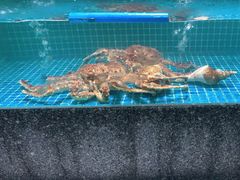 -狮伙海鲜捞(千灯湖店)