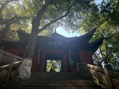 -白帝城·瞿塘峡景区