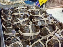 -天天鱼港·海鲜·鲅鱼水饺·招牌烤鸭(黄骅店)