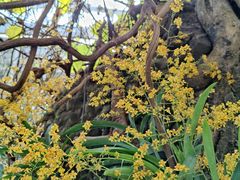 -北京植物园-展览温室