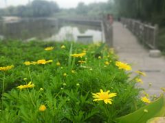 -西安浐灞国家湿地公园