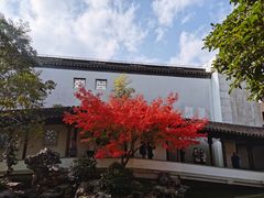 -秋霞圃