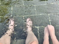 -山湖温泉