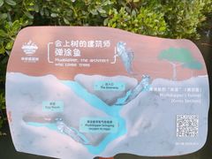 -华侨城湿地公园