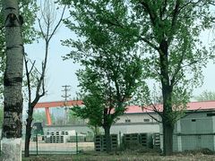 -大兴滨河森林公园