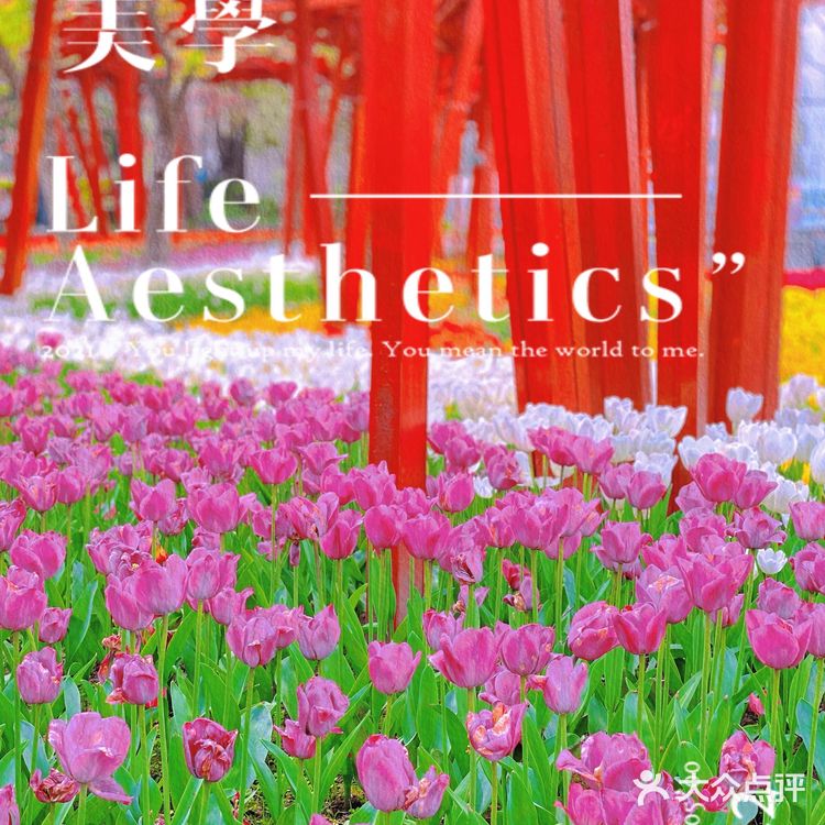 攻略 | 静安区0元不排队赏樱🌸保姆级指南建议收藏