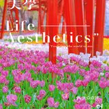 攻略 | 静安区0元不排队赏樱🌸保姆级指南建议收藏