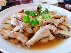 清远鸡-榕记(番禺总店)