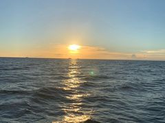 -The Sunny Side Cafe Station 1