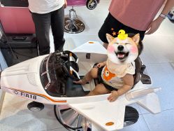 -星咔萌StarCamo儿童剪发(芳圆里IDMALL品牌形象店)