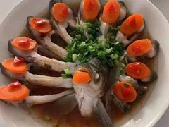 -红樱桃月嫂育婴师(徐汇总店)