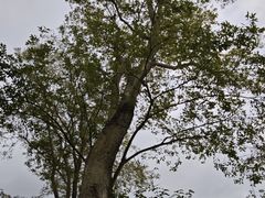 -仙海旅游度假区