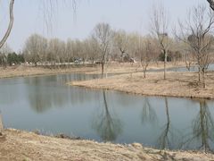 -东郊湿地公园