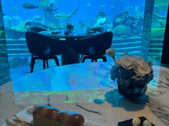 -亚特兰蒂斯•OSSIANO奥西亚诺海底餐厅