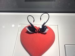 -BLACKSWAN黑天鹅(环球店)