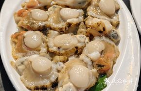 Freshly Scraped Scallop