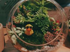 -谷莠子花艺·气球派对·绿植造景·花艺沙龙(金光华广场店)