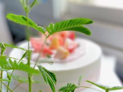 -积慕Cake(解放大道店)